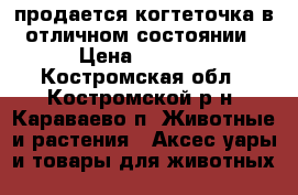 продается когтеточка в отличном состоянии › Цена ­ 1 000 - Костромская обл., Костромской р-н, Караваево п. Животные и растения » Аксесcуары и товары для животных   